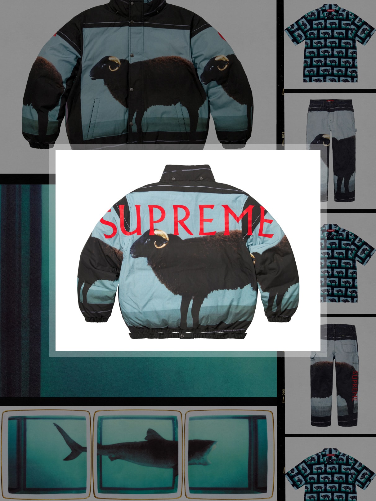 Which artists appeared in Supreme 2025 Spring and Summer Series?